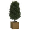 Garden Planter Honey Brown 19.7"x19.7"x19.7" Solid Wood Pine
